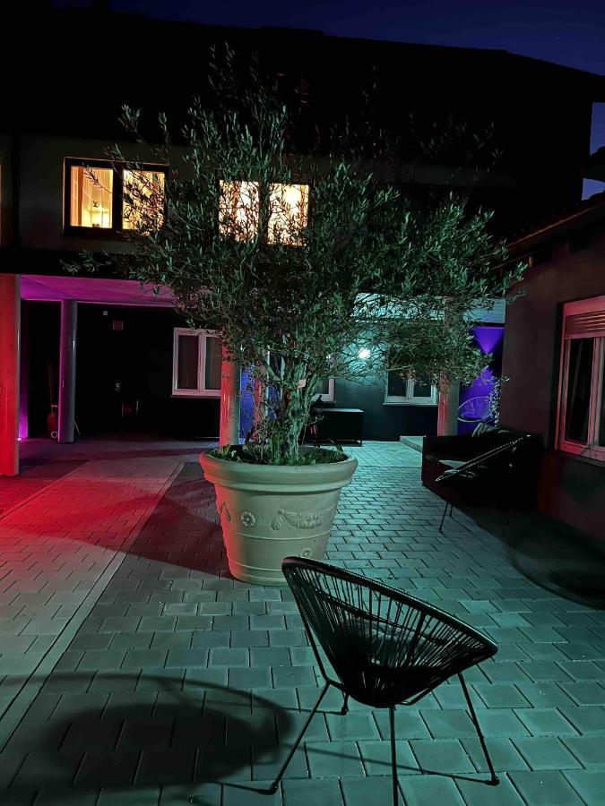 Ferienwohnung Bodenseesuite In ฟรีดริชส์ฮาเฟน ภายนอก รูปภาพ